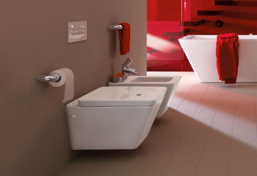 Dit is in wezen een supertoilet-bidetzitting