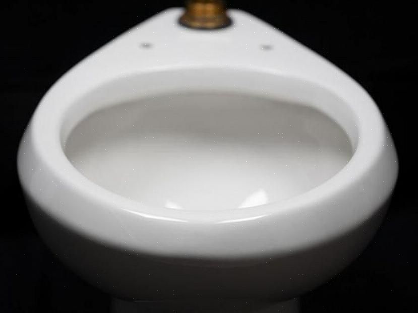 Dit betekent dat uw supertoilet niet alleen een oogverblindende artiest is