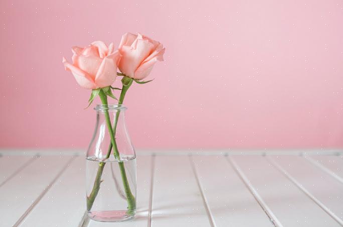 Een verrassend feit over snijbloemenvoeding is dat het uit slechts drie hoofdingrediënten bestaat