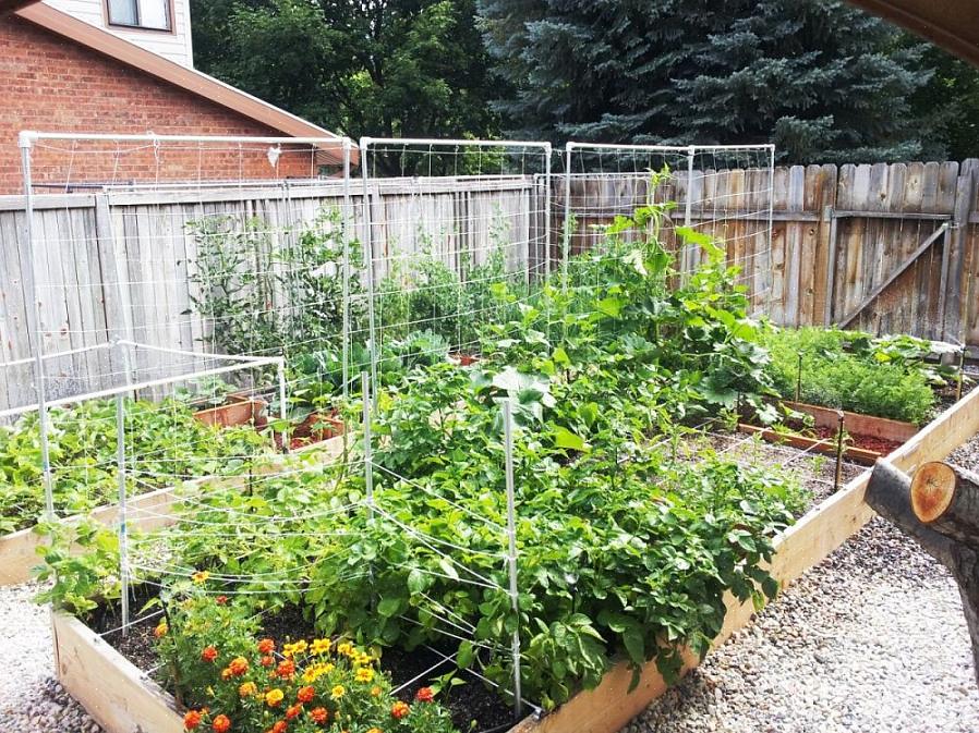 Er bestaat enige controverse over de vraag of houten plantenbakken moeten worden gecoat met een chemische