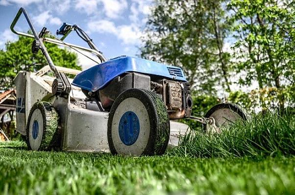 Een andere onaangename taak bij het opruimen van de lentetuin is het opruimen van hondenpoep