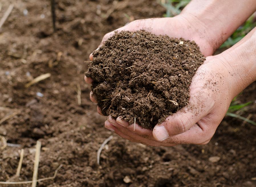 De drie basistypen zijn kleiachtige