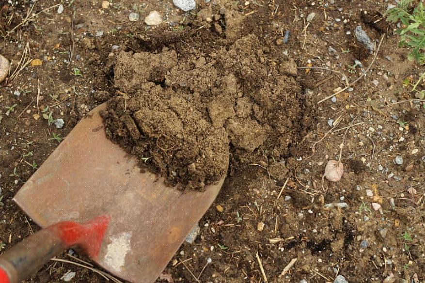 Het is eerder een mineraal dan het product van vervallen organisch materiaal