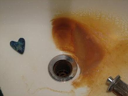 Schrob het vervolgens met een in water gedrenkte tandenborstel
