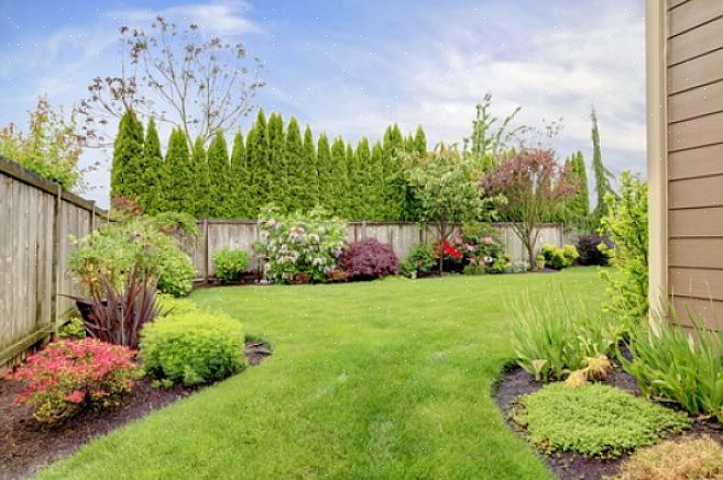 Vaste planten