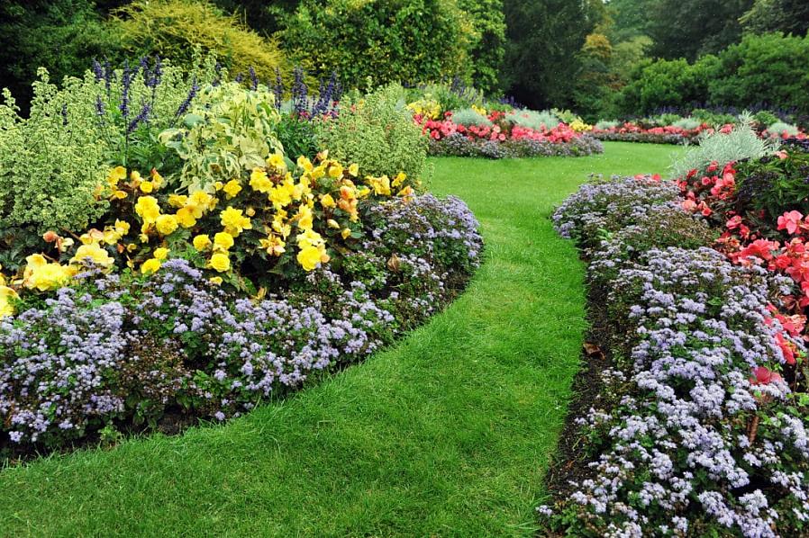 Landscaping met een beperkt budget met goedkope planten