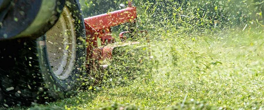 Een teveel aan gemaaid gras dat op uw gazon valt
