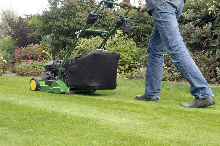 Er zijn veel redenen waarom nat gras maaien een slecht idee is
