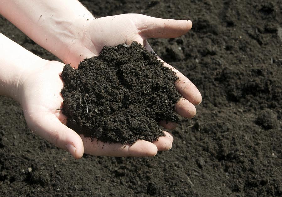 Bij het openen van een nieuwe tuin gebruiken mensen vaak tuinfrezen om verdichte grond te breken