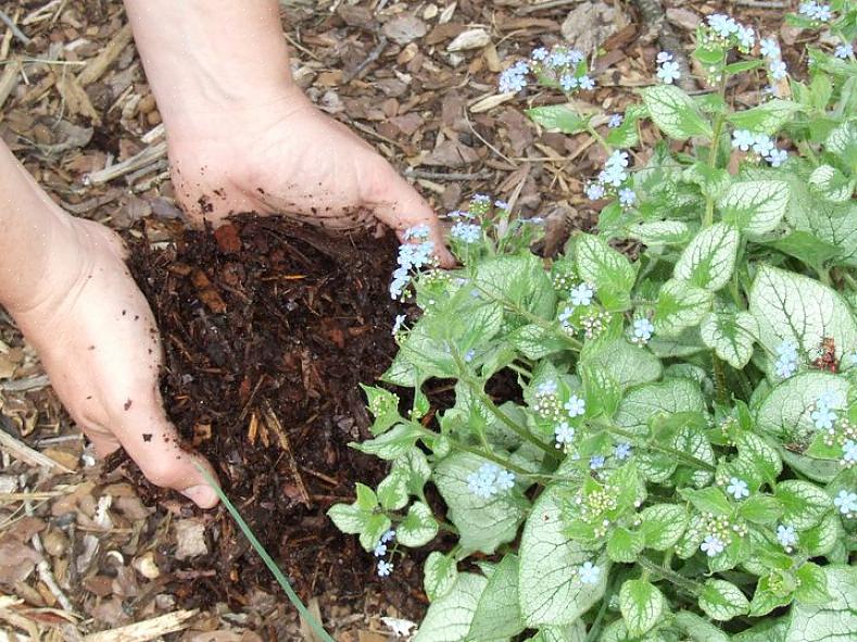 Biologische mulch