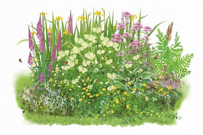 Omdat de planten tijdens de warmere maanden voldoende tijd hebben om te rooten