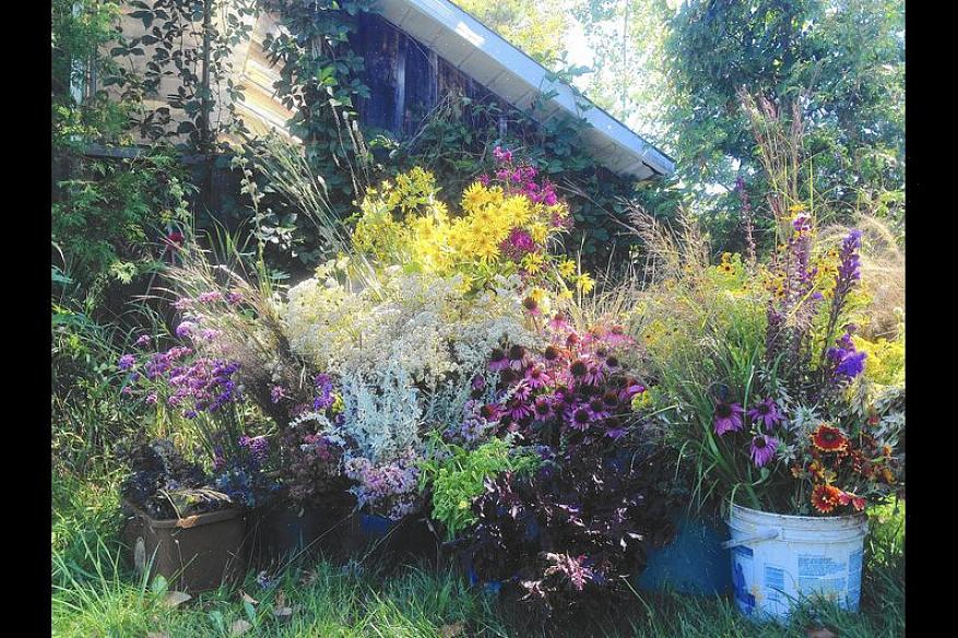Leer hoe u de verzorging van een grote bloementuin kunt opsplitsen in beheersbare taken