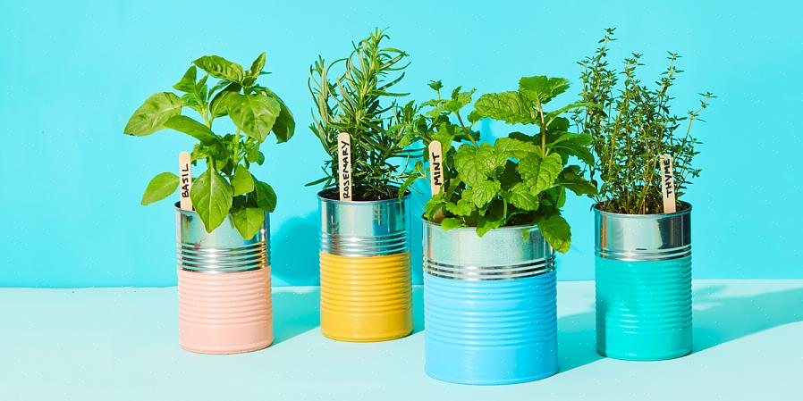 Hoef je geen wateroplosbare plantenvoeding toe te voegen als je je planten water geeft