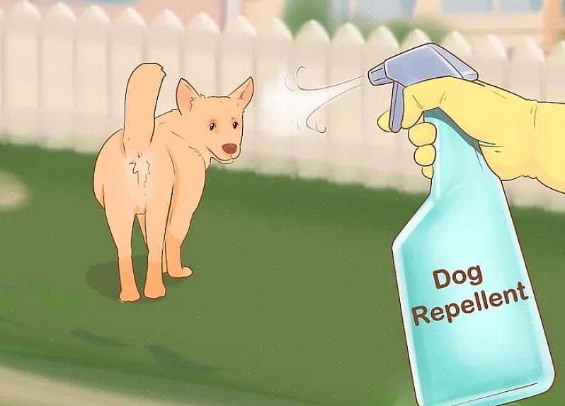 Kun je hem niet afschermen om honden weg te houden