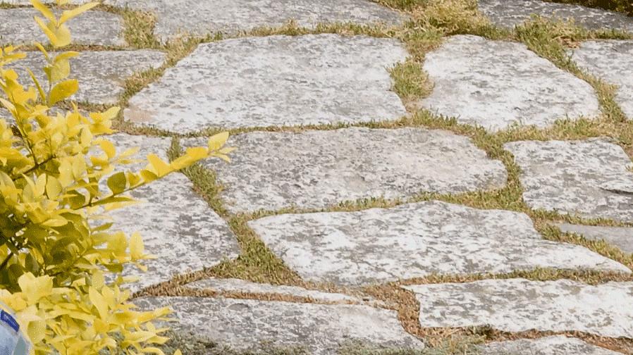 Hoe u veilig kunt blijven tijdens het uitvoeren van doe-het-zelf-landschapsprojecten