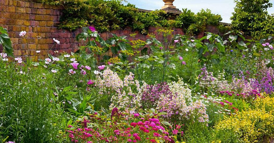 Is noch volle zon noch dichte schaduw ideaal voor het kweken van de meeste inheemse bosbloemen uit New