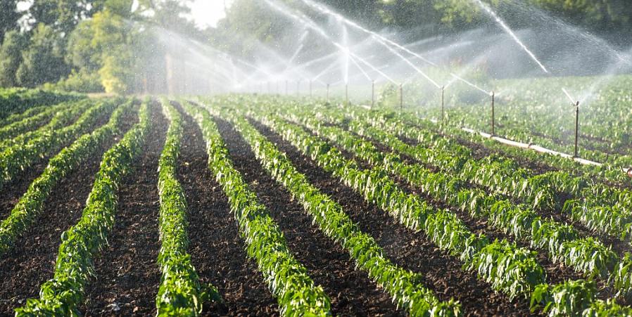 Voor mensen die grote stukken gazon willen besproeien