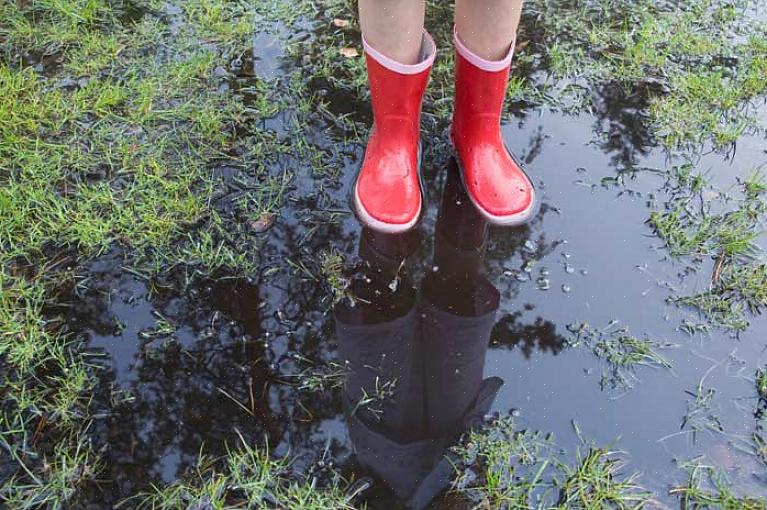 De vuistregel voor het bewateren van graszoden is over het algemeen één centimeter water per week