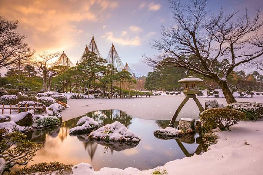 Hopelijk is uw vijver voor de winter in goede