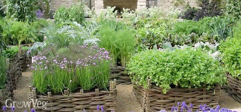 Komt allemaal neer op wat je wilt doen met de planten die je kweekt