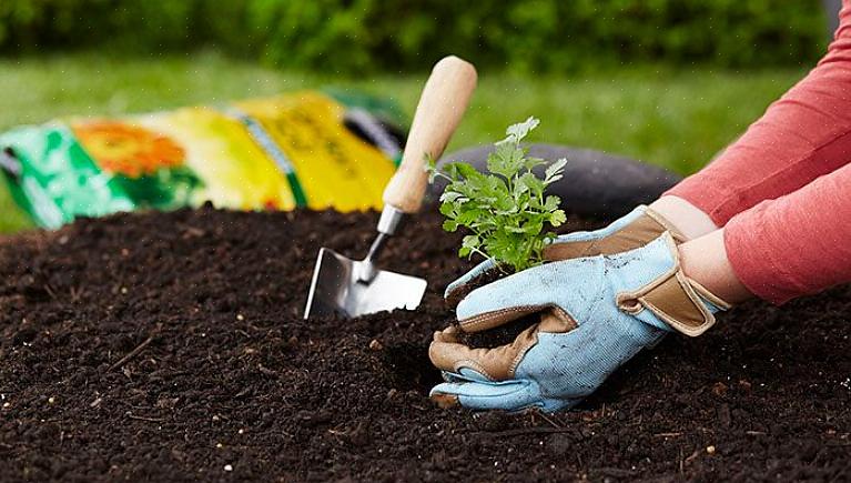 Een pH-waarde van de bodem waardoor deze voedingsstoffen beschikbaar zijn voor planten