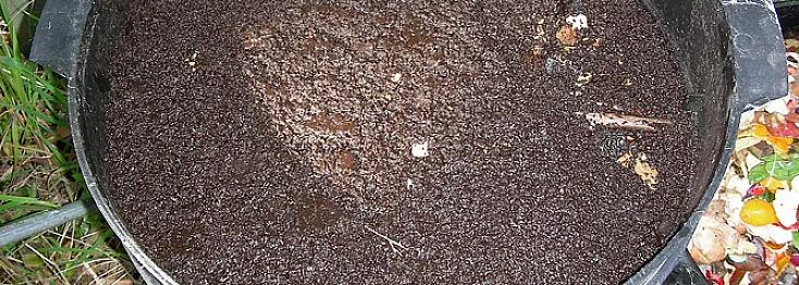 Word je hopelijk beloond met een mooie oogst van vermicompost of vermicastings