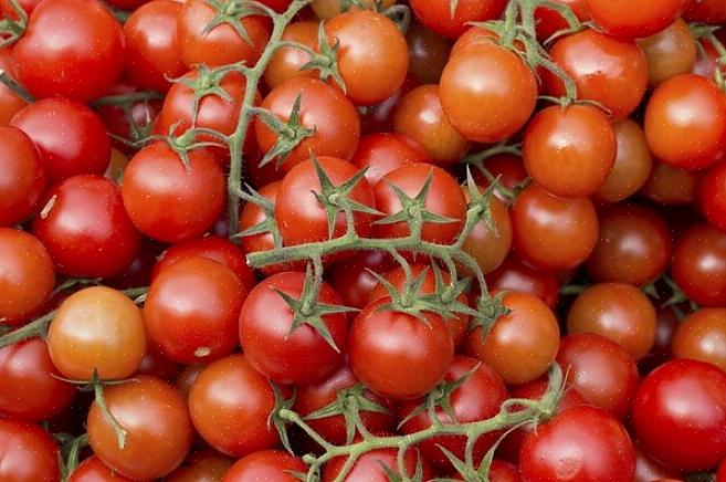 Struiktomaten groeien tot een bepaalde hoogte