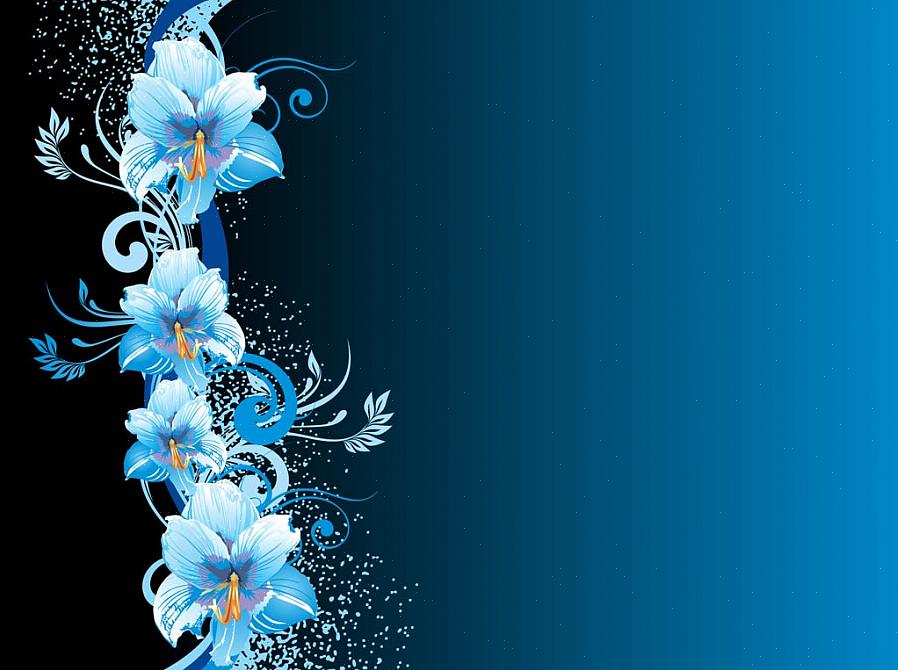 Blauwe salvia foto