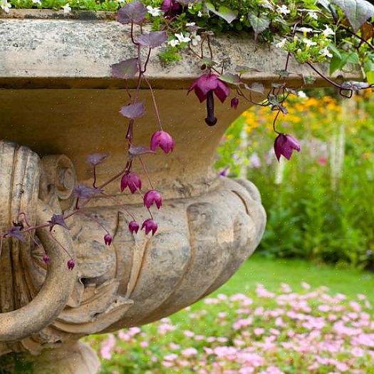 Hangende bloemenmanden voor elke tuin