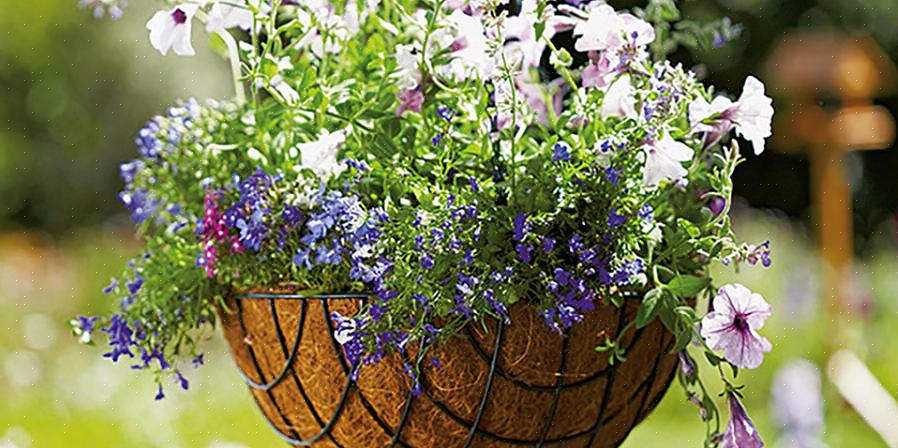 Plant hangende bloemen in de zijkanten van de mand