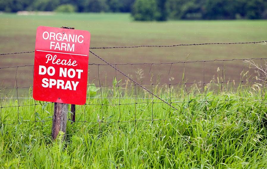 De vetzuren in de zeep dringen de buitenste laag van het insect binnen