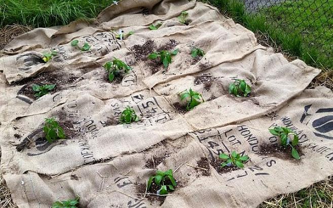 Tuinders kiezen vaak voor natuurlijke jute gemaakt van jute