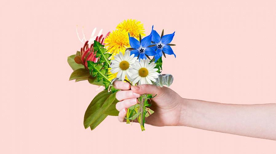 Is het nog logischer om je eigen eetbare bloemen te kweken