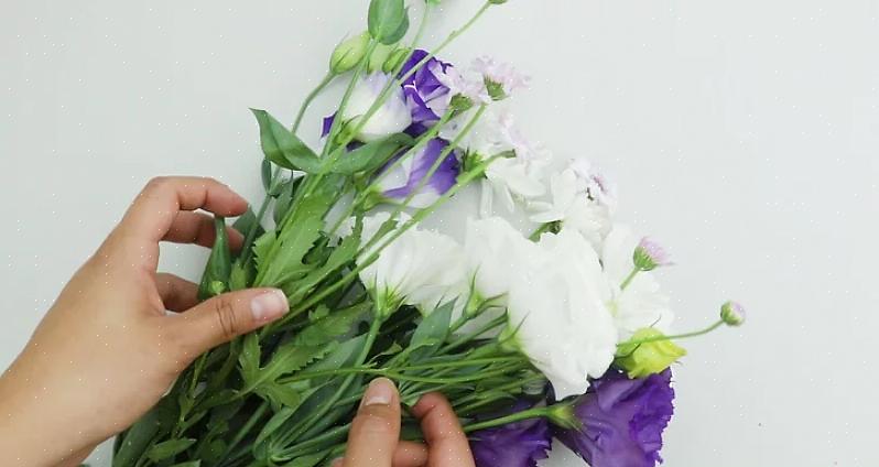 Bloemen met een hoog watergehalte