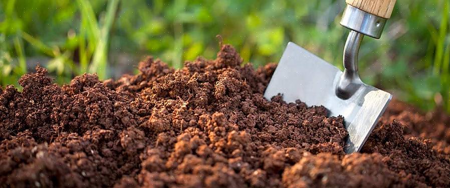 Kan het aanbrengen van te veel visemulsie stikstof "verbranding" veroorzaken