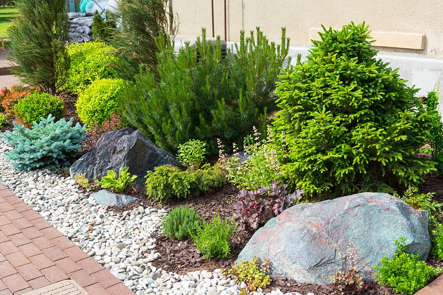 Water geven watertuinen uw tuin al een interessante uitstraling