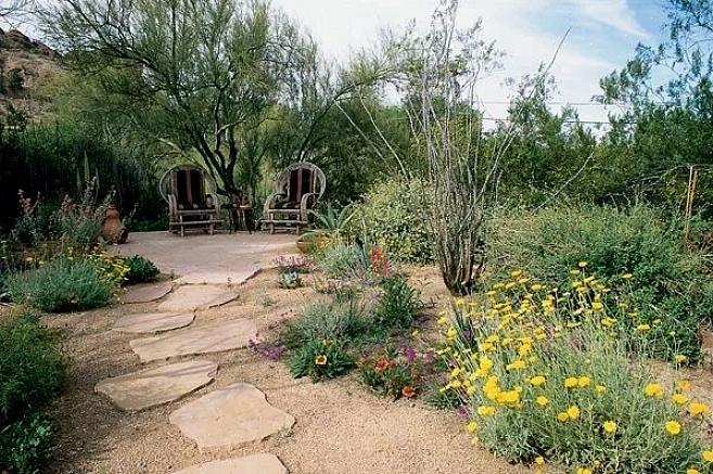 Xeriscape-landschapsarchitectuur