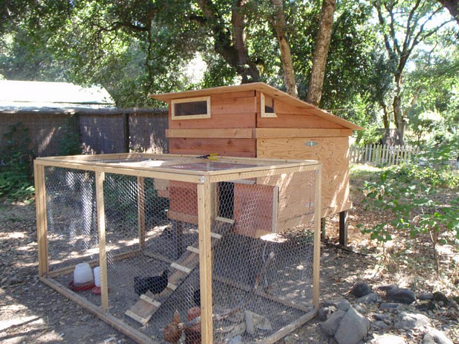 Heb je nestkasten nodig waar de vogels eieren kunnen leggen