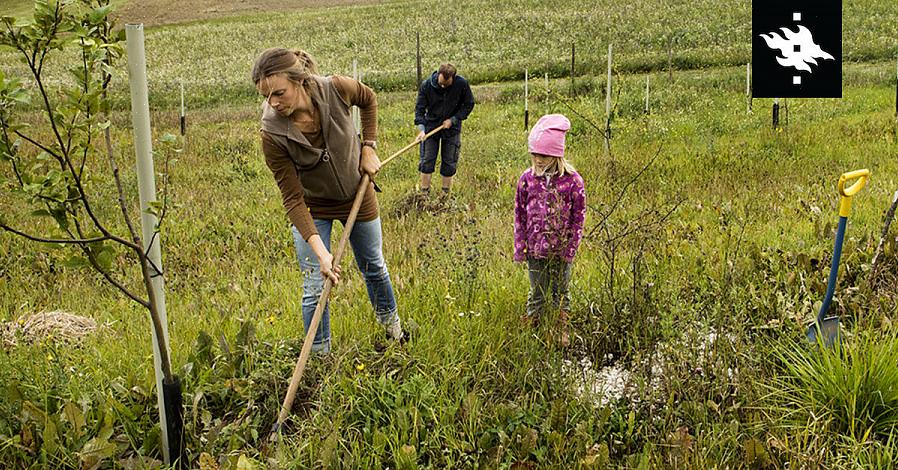 Bij de teelt van land wordt de bodem voorbereid op gewassen of dieren