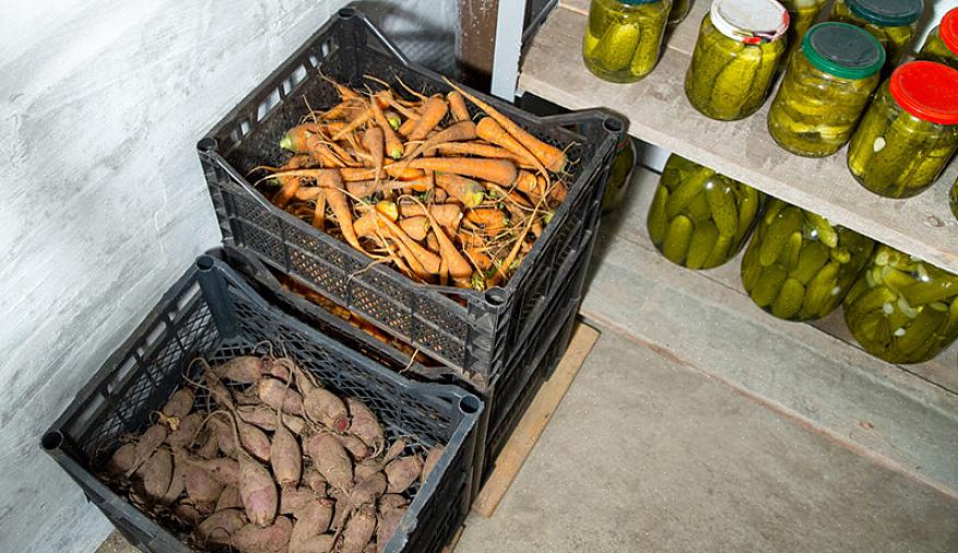Pompoenen - Zorg ervoor dat deze volledig zijn gerijpt