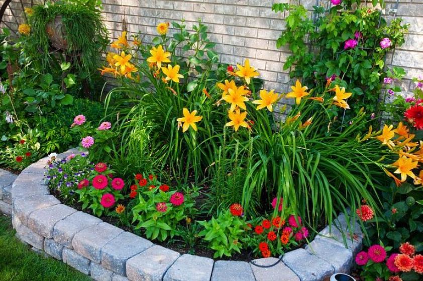 Wat vooral belangrijk is voor jonge planten die moeite hebben om zich bij warm weer te vestigen