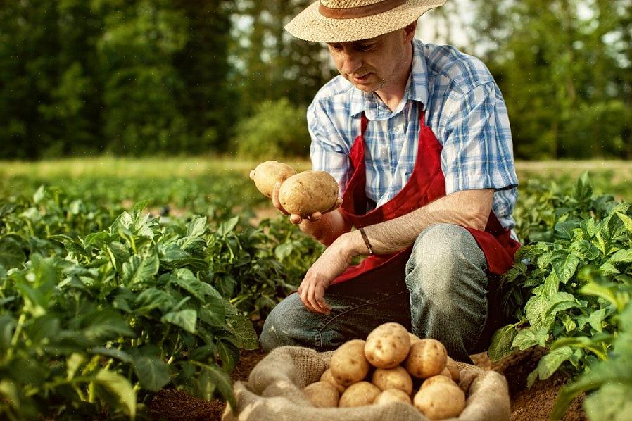 Als u een klein boerenbedrijf wilt starten