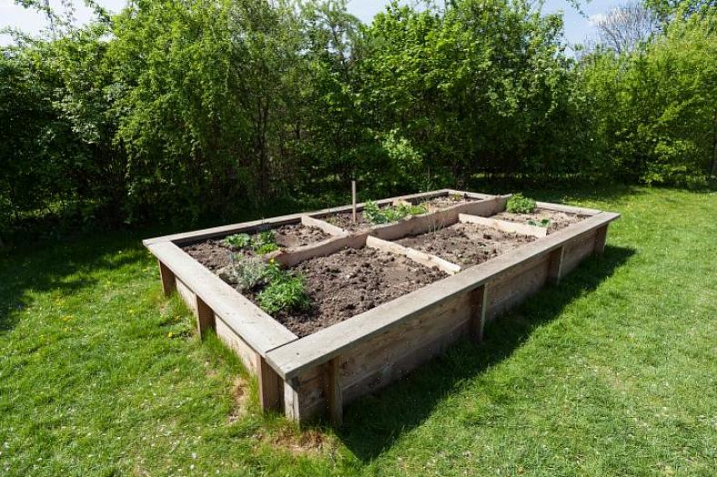 Je kunt zowat elke plant in een verhoogd bed kweken