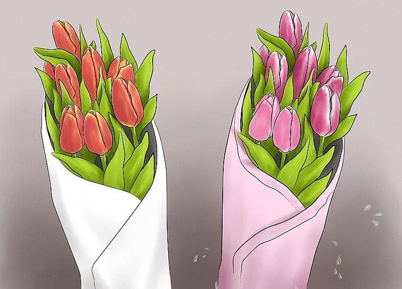 Tulpenbollen kondigen