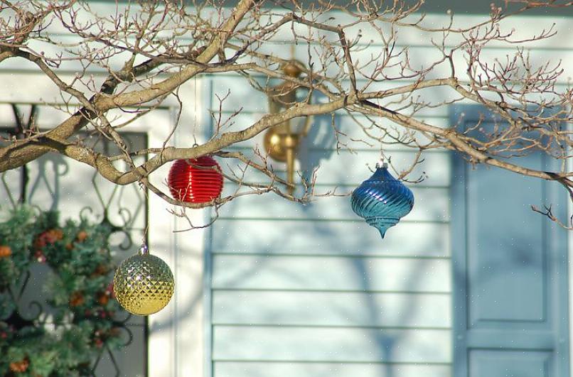 Struiken nutteloos zijn voor kerstversiering