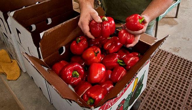 Veel kleine boeren kunnen het prima redden zonder ooit producten of andere kleine boerderijproducten