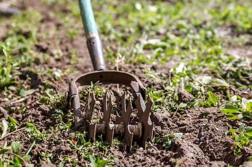 Zijn ideaal voor kleine tuinruimtes
