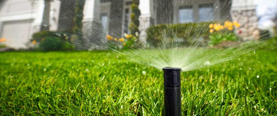 Geef het gras vanaf dat moment water volgens het normale schema voor het gebied