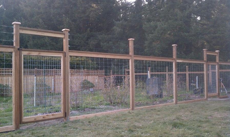 Door herten af te schermen (in plaats van alleen op teken te sproeien) los je minimaal vier problemen