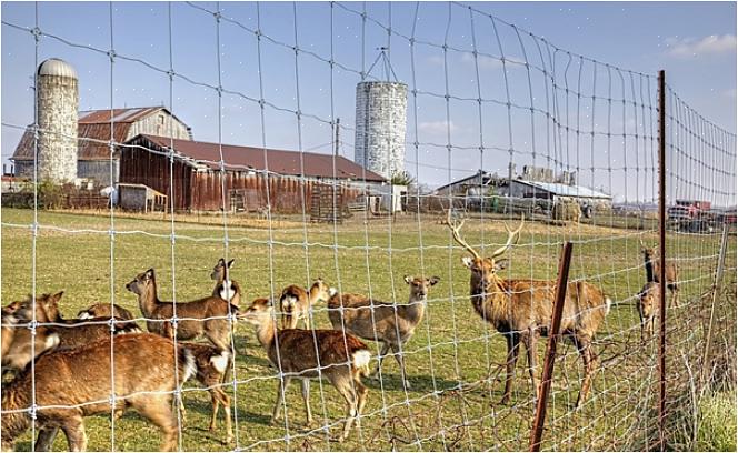Afhankelijk van het product worden herten verdreven omdat ze de geur of smaak van de stof niet lekker vinden